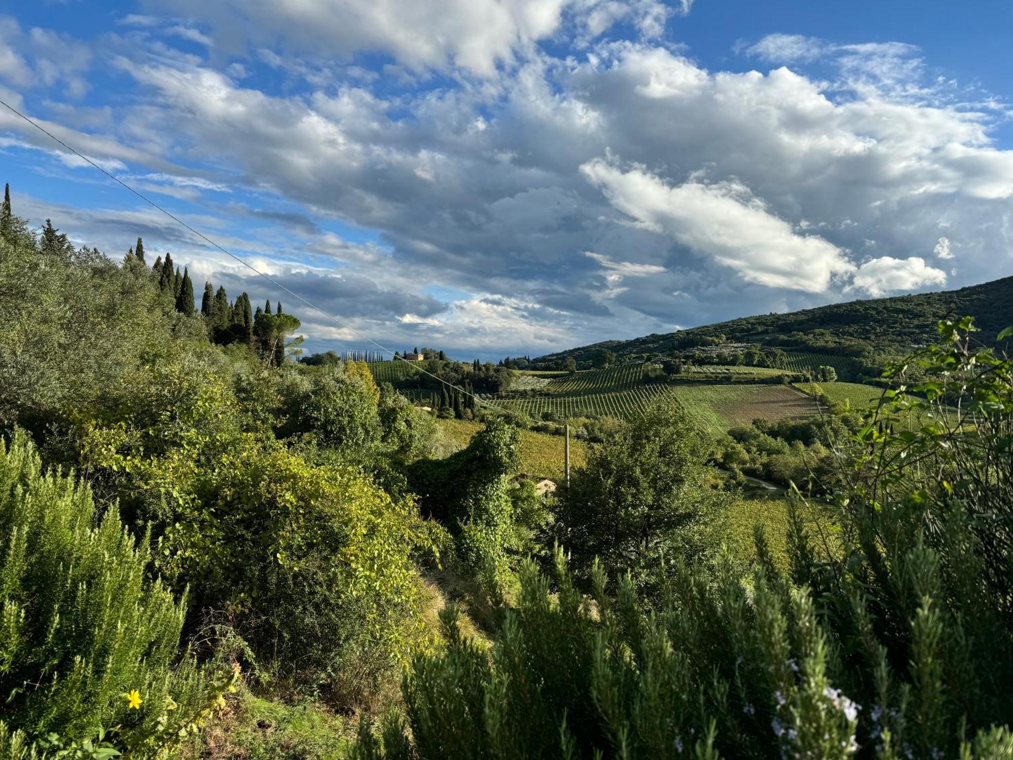 Villa Del Sole San Gimignano Esterno foto